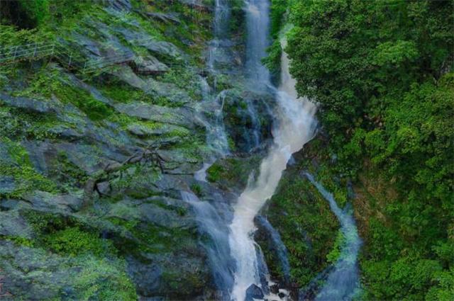 雷竞技比分