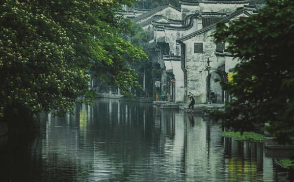 小猫钓鱼正版下载中文版